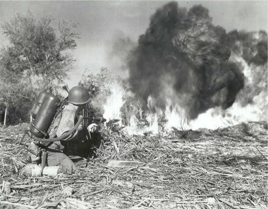 U.S. soldier of the 33rd Infantry Division using a flamethrower.